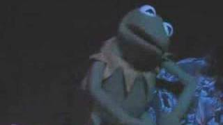 Kermit The Frog sings quotI like PIG BUTTS and I cannot liequot [upl. by Budding]