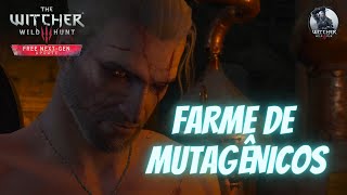 The Witcher 3  Farme de Mutagênicos [upl. by Burnham]