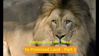 Ambush on the Road to Promised Land  Part 1 [upl. by Abibah]