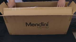 Mendini Tenor Saxophone Unboxing 2023 [upl. by Lukas]