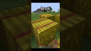 NORMAL MINECRAFT DAY shorts animation herobrine herobrineanimation memes gaming [upl. by Longawa]