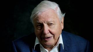 David Attenborough A Life On Our Planet trailer [upl. by Lavina999]