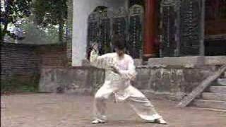 Chen Taijiquan Daxinjia Yilu wChen Xiaoxing Part 2 [upl. by Arabele243]