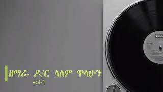 Tamir New  Lealem Tilahun [upl. by Newbold]