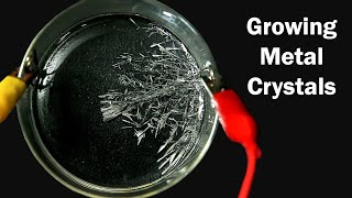 How to grow Tin Crystals [upl. by Feliks436]