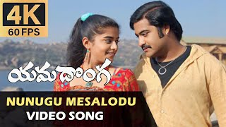 Nunugu Misalodua 4k Video Song Yamadonga Movie Jr NTR Priyamani [upl. by Nylla860]