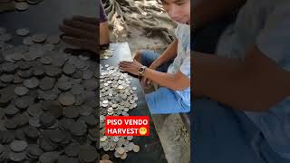 Piso wifi vendo harvest 💪 pisowifi shortvideo viralvideo [upl. by Lezlie331]