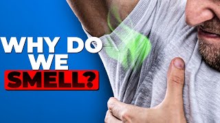 The Science of Body Odor Science Behind Your Sweat [upl. by Salokin625]