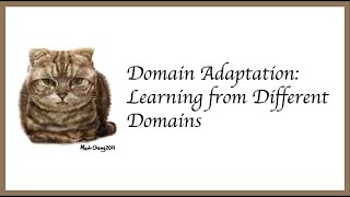 MLDL Domain Adaptation Learning from Different Domains [upl. by Ricca]