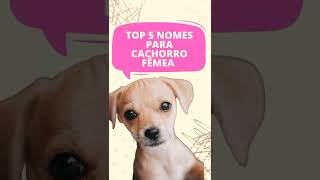 🐶TOP 5 NOMES PARA CACHORRO FÊMEA Comenta o nome do seu pet [upl. by Tebazile]