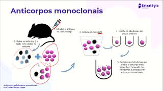 Anticorpos Policlonais e Monoclonais [upl. by Siana]