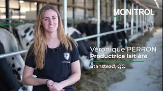 120 vaches en lactation  Ferme Grenier de Stanstead au Québec [upl. by Nebra]