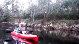 Suwannee River Day 2 Woods Ferry River Camp to Holton Creek River Camp [upl. by Alenairam455]