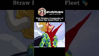 First division commander of straw hat grand fleet🗿😈 onepiece ryuma anime monkeydluffy animememe [upl. by Eselrahc]