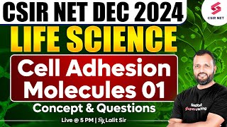 CSIR NET DEC 2024  Life Science  Concept And Questions  Cell Adhesion Molecules  01Dr Lalit Pal [upl. by Wylma97]