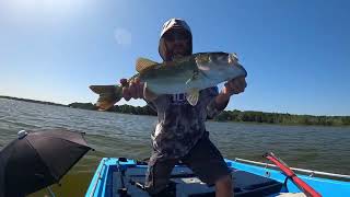 Live Bass Fishing Harris Chain recap Warning Slayfest [upl. by Nitsug]