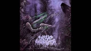 Infant Annihilator  Unholy Gravebirth audio HD [upl. by Yrojram]