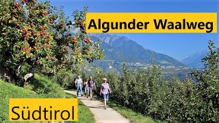 Walking Tour Meran  Algunder Waalweg in 4K60 [upl. by Goran454]