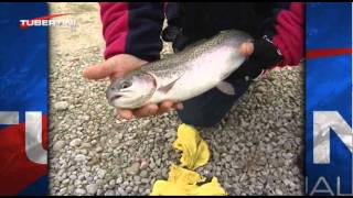 Italian Fishing TV  Tubertini  Tecniche di pesca  Trota Lago [upl. by Hpseoj993]