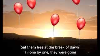 Adam Young  99 Red Balloons Cover Lyrics and Penguins [upl. by Yramesor]