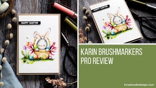 Karin Brushmarkers Pro Review [upl. by Notnirb632]