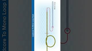 Shorts How to Tie The Leadcore To Mono Loop Knot [upl. by Notsnhoj585]