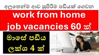 Top HighPaying WorkfromHome Jobs in Sri Lanka  Highest Remote Salaries 2024 [upl. by Brandon]