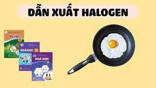 HÓA 11 DẪN XUẤT HALOGEN  Cánh Diều Chân Trời Sáng Tạo Kết Nối Tri Thức [upl. by Schuyler]