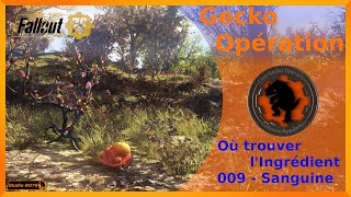 Fallout 76  Où trouver lIngrédient  009  SanguineBloodleaf [upl. by Attiuqaj]