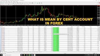 What is Mean By Cent Account In Forex Tamil [upl. by Hoffmann]