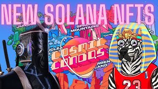 Checkout These New Solana NFTs [upl. by Imuya]