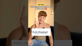 Ich errate eure Dialekt Wörter 🇦🇹⚠️ FOTZHOBEL [upl. by Ahouh]