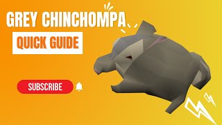 OSRS Grey Chinchompa QUICK GUIDE [upl. by Huoh]