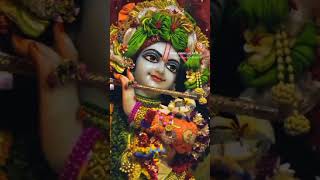 download khatushyam bhajan radheradhe radhakrishnan krishna reels premanandjimaharaj [upl. by Hallagan717]