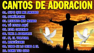 🙏SUPE QUE ME AMABAS ALABANZAS PARA ADORAR A DIOS 🙌🙌 MÚSICA CRISTIANA MIX 2024🙏 [upl. by Nyrhtakyram]