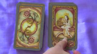 Fenestra Tarot Review [upl. by Allimac612]