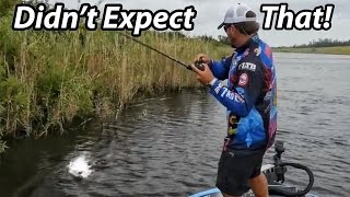 How to Fish a Spinnerbait  Scott Martin  Everything you need to know [upl. by Gant555]