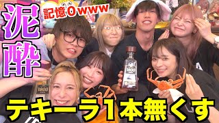 【泥酔】男女でテキーラ1本飲み切る企画したら途中から記憶が無いwwwwwww [upl. by Sixel97]