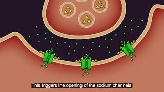 Resistance101  Insecticide classes amp modes of action [upl. by Aleira]