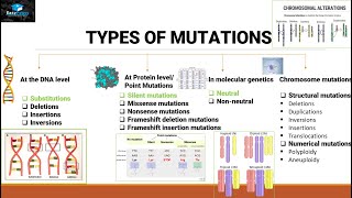 Mutations And Types Of Mutations [upl. by Jourdan]