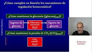 Aspectos clave de la regulación homeostática en humanos y otros mamíferos [upl. by Nuavahs232]