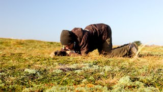 Groene Werelden Onder Onze Voeten mossen en korstmossen [upl. by Adnolehs]