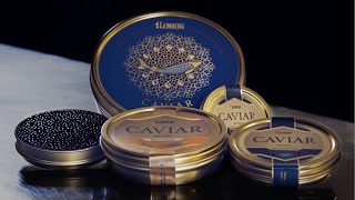 Sturgeon Caviar Lemberg [upl. by Ahsirhcal778]