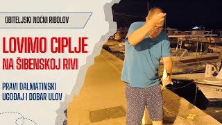 Obiteljska kužina u noćnom ribolovu Lovimo ciplje u Šibeniku [upl. by Gordon675]