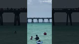 Scary moment as shark spotted near swimmers at Navarre Beach Florida shorts [upl. by Syla829]