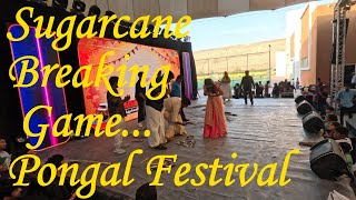 Sugarcane Breaking Game  Pongal Festivaldubaipongal [upl. by Adnovad]