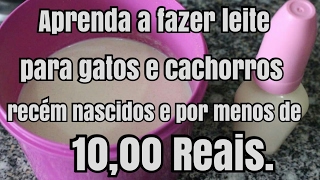 Como fazer Leite para Gatos e Cachorros recém nascidos [upl. by Bundy]