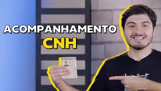 Como funcionam as regras de pontuação da CNH quando ela pode ser suspensa e mais ChamaoGringo [upl. by Coward892]