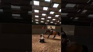 Oepsie 😂😂🤪springen weigeren galop pony [upl. by Rollet679]