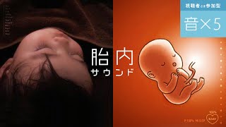 2番目に眠る「胎内サウンド」5種類の胎内サウンドを試してご意見ください。 [upl. by Gruber]